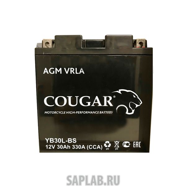 Купить COUGAR YB30LBS Аккумулятор мотоциклетный Cougar AGM YB30L-BS 12V 30Ah (залит и готов к применению)