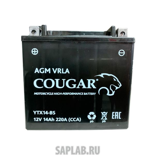 Купить COUGAR YTX14BS Аккумулятор мотоциклетный Cougar AGM YTX14-BS 12V 14Ah (залит и готов к применению)