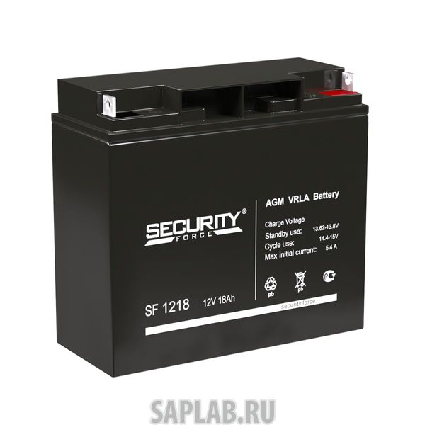 Купить DELTA 1218 Аккумулятор Security Force 1218 293