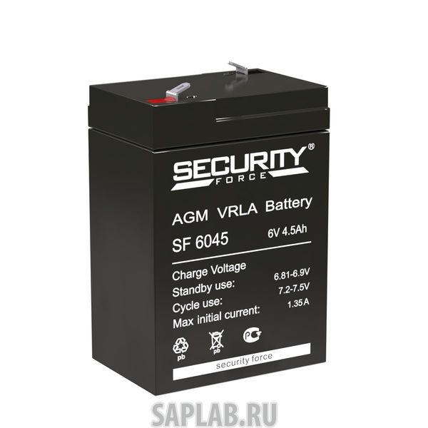 Купить DELTA 6045 Аккумулятор Security Force 6045 296