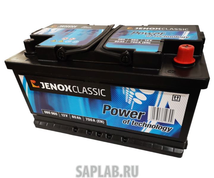 Купить JENOX 080660 Аккумулятор Jenox Classic 12v 80 Ah 700a (R ) 17,47kg 315x175x175mm JENOX арт. 080660